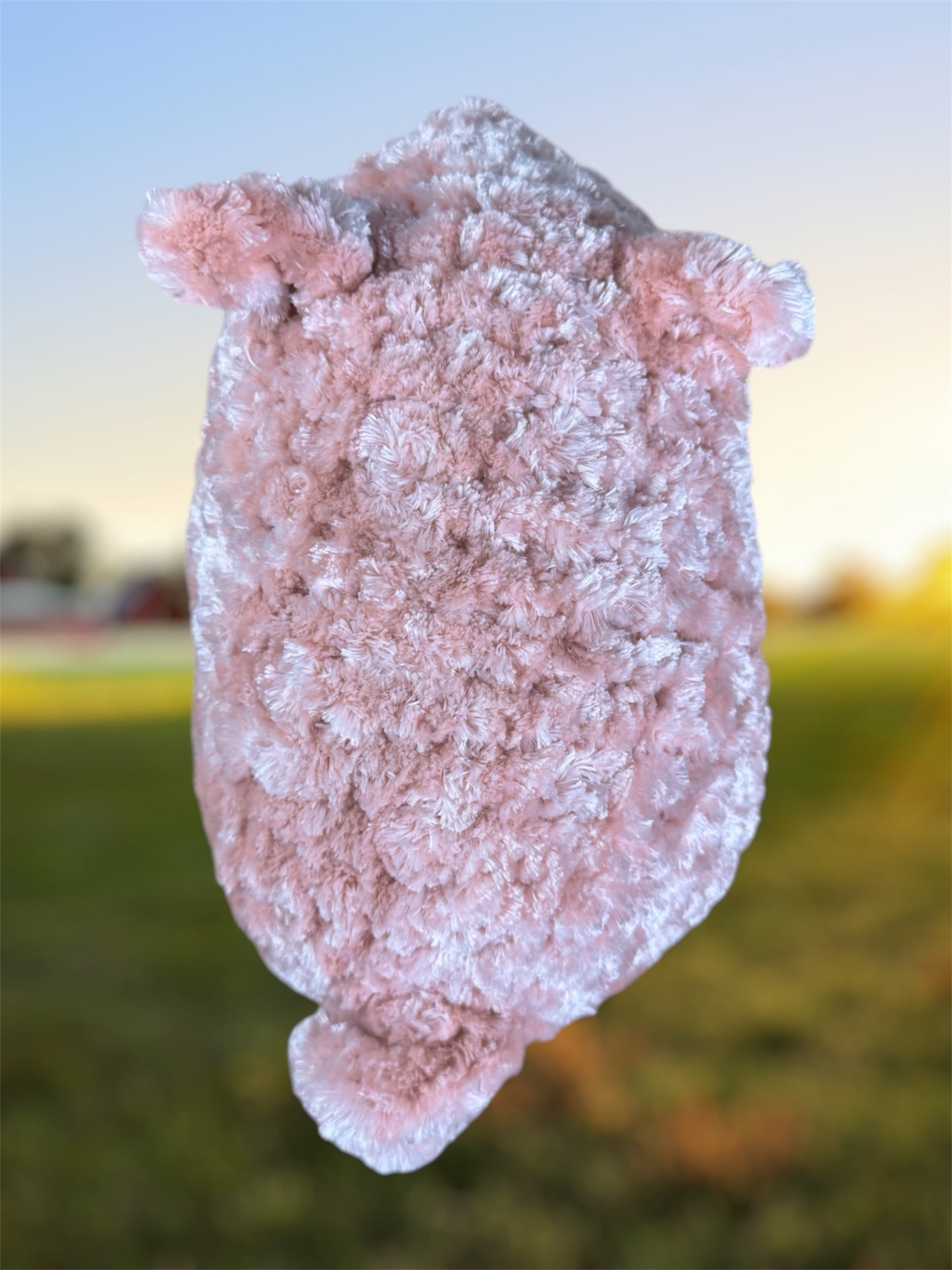 Pig
