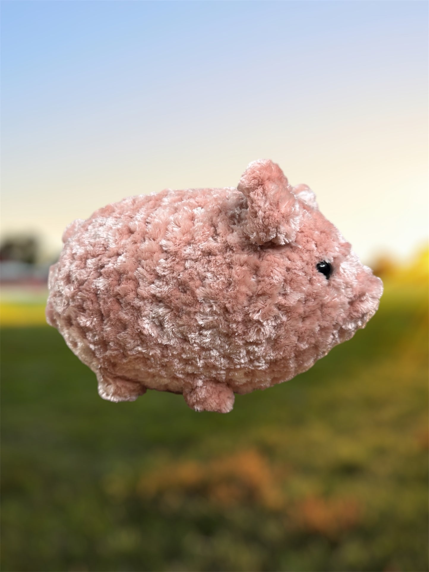 Pig