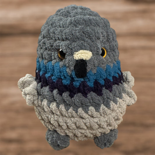 Pigeon