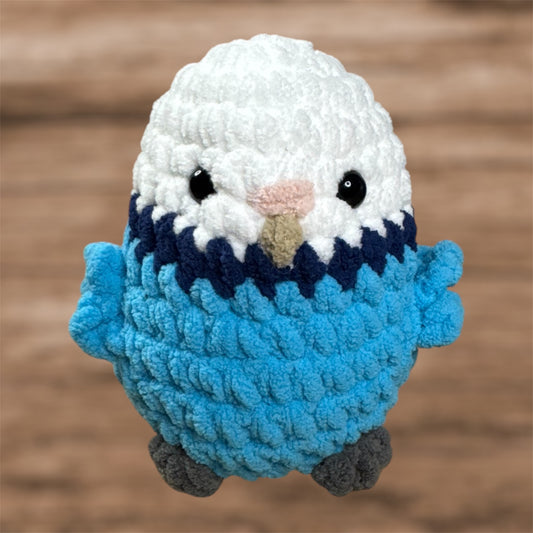 Female Parakeet
