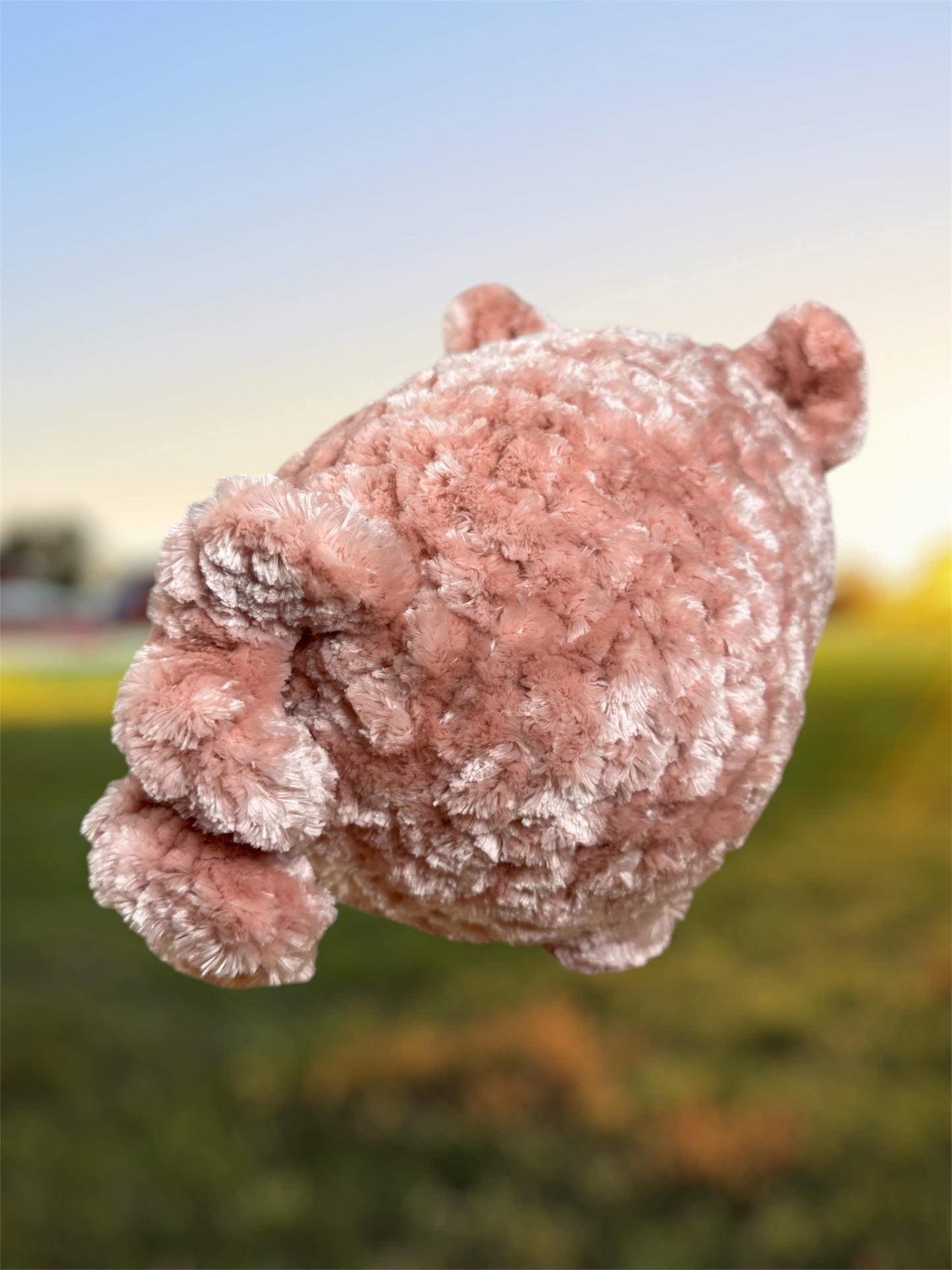 Pig